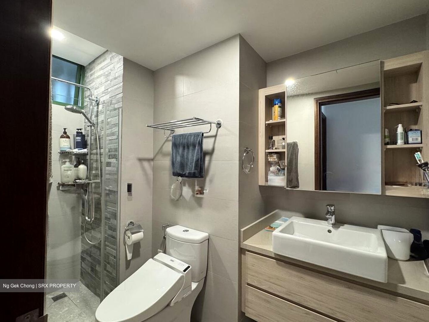Signature Park (D21), Condominium #510555981